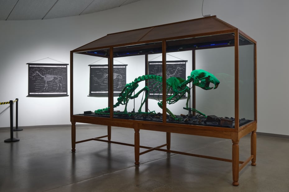 Installation image of Mark Dion: Excavations.