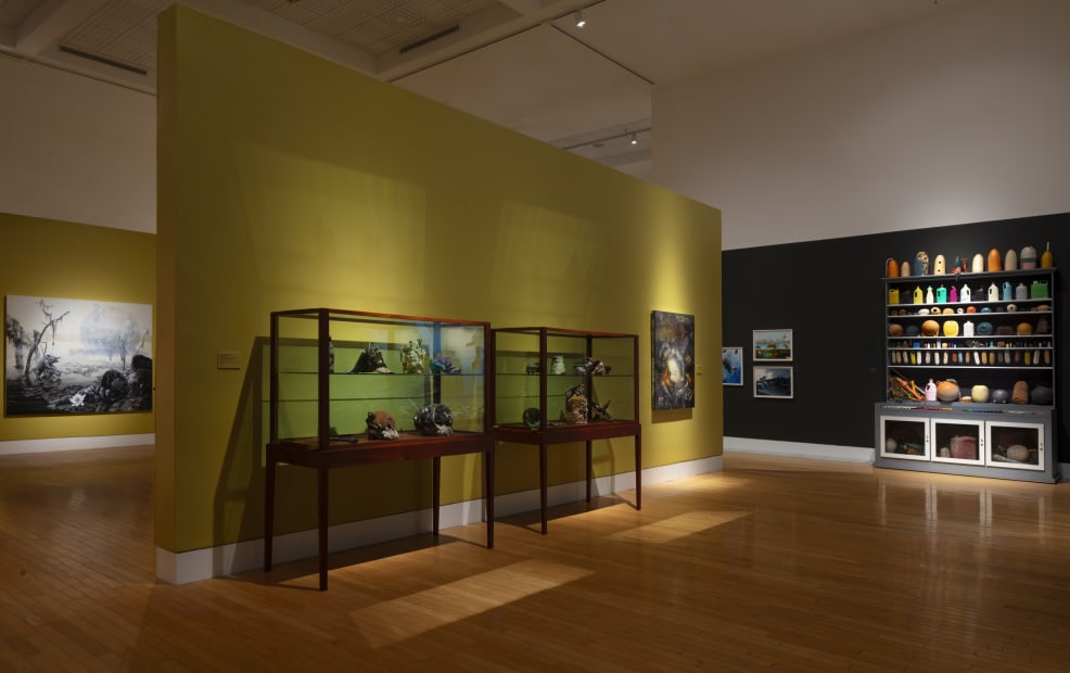 Installation of Mark Dion and Alexis Rockman: Journey to Nature's Underworld at the Lowe Art Museum, University of Miami.