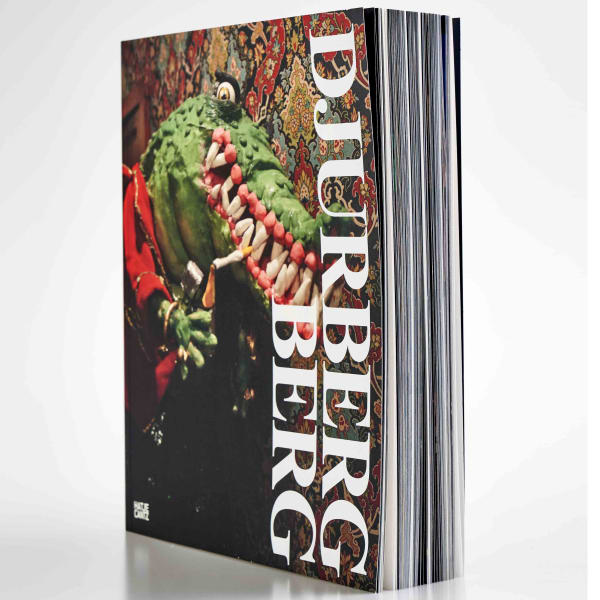 Book cover of A Journey Through Mud and Confusion with Small Glimpses of Air exhibition catalogue featuring crocodile sculpture
