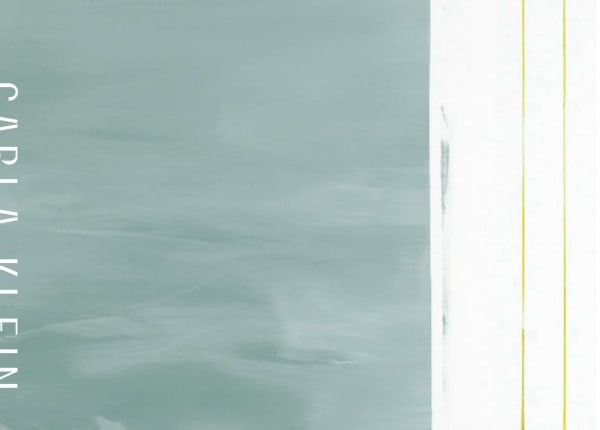 JARLA PARTILAGER (2007) book cover