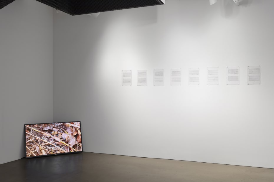 Música para 429 Megaponeras with Rafael Ortega, 2017