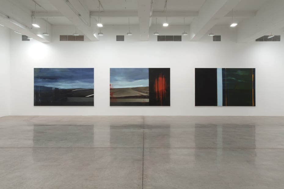 Installation view, Tanya Bonakdar Gallery, 2014