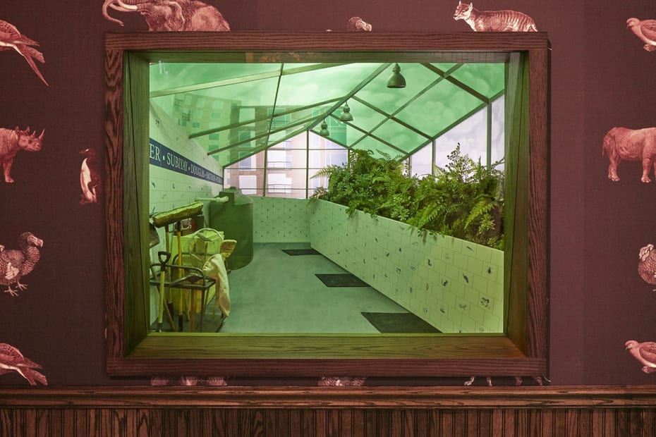 After Neukom Vivarium, 2006/2017