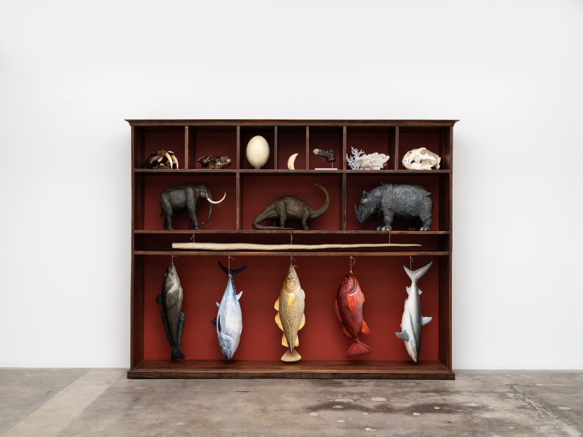 Cabinet of Extinction, 2022