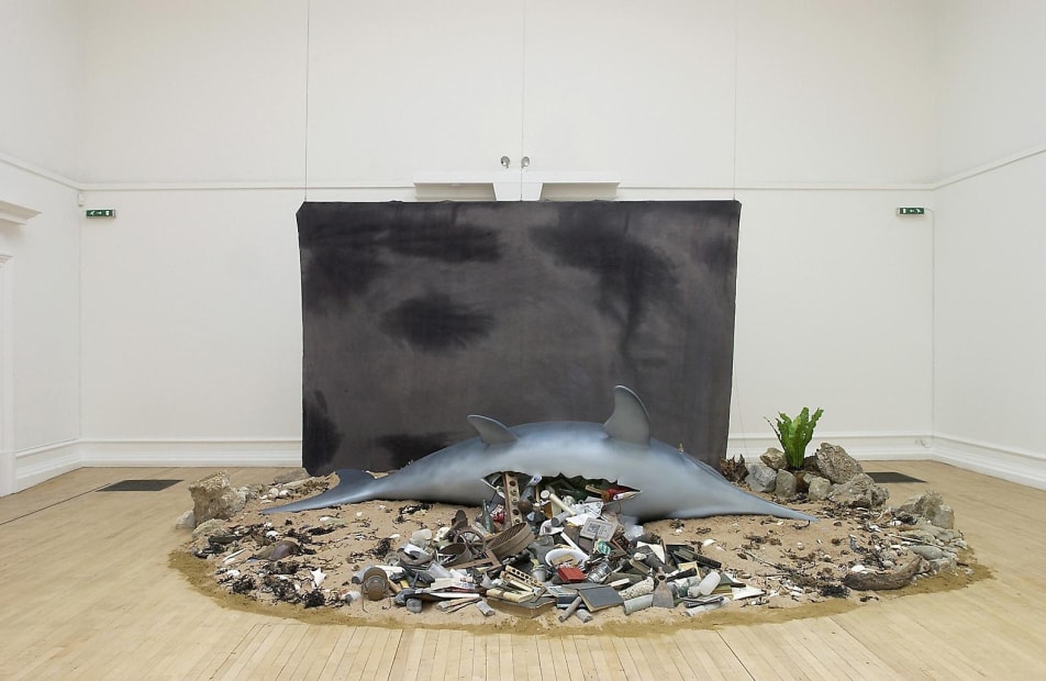 Ichthyosaurus, 2003