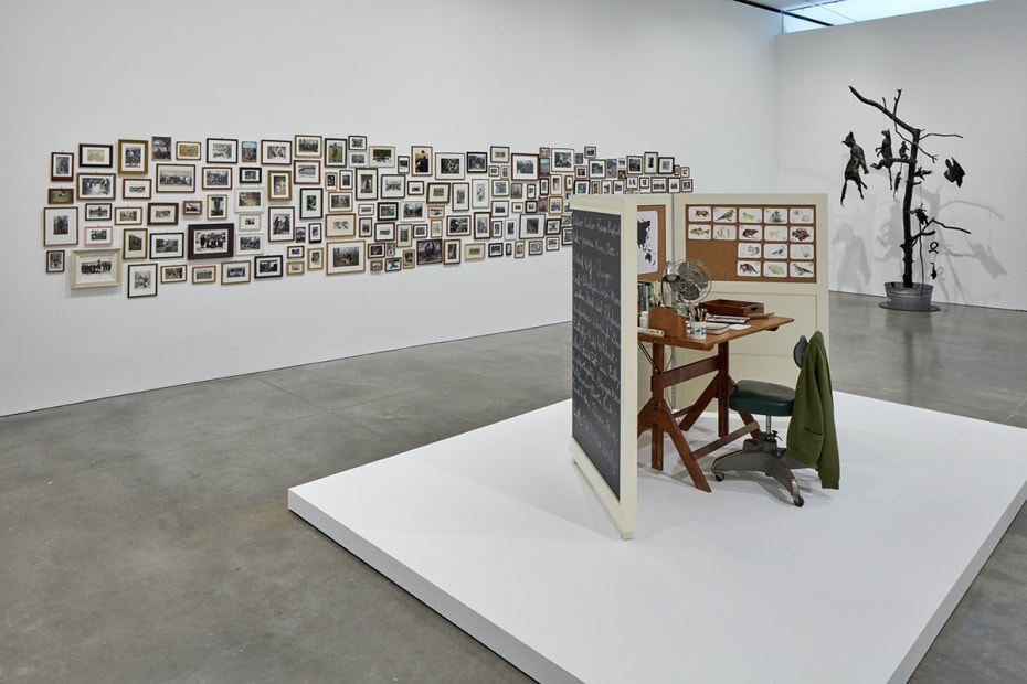 Installation view, Mark Dion: Misadventures of a 21st-Century Naturalist, ICA Boston, 2017