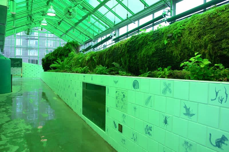 Neukom Vivarium, Olympic Sculpture Park, Seattle, 2006