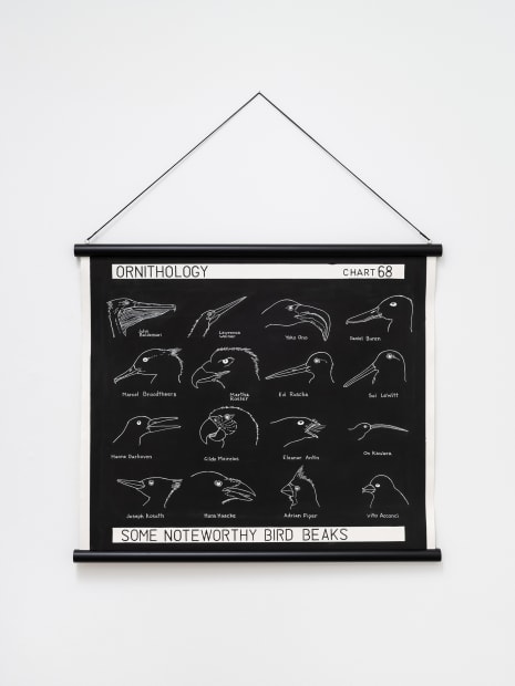 Some Noteworthy Bird Beaks, 2022