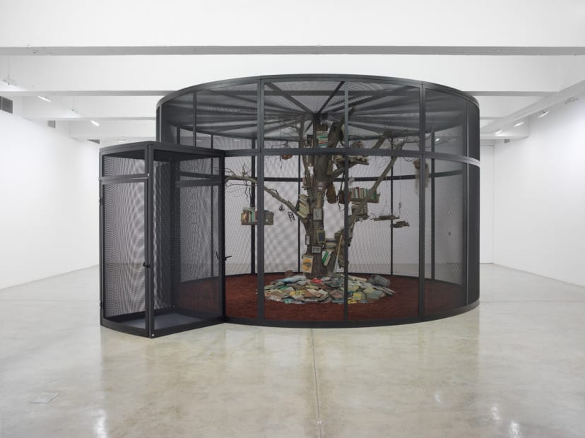 The Library for the Birds of New York, 2016
