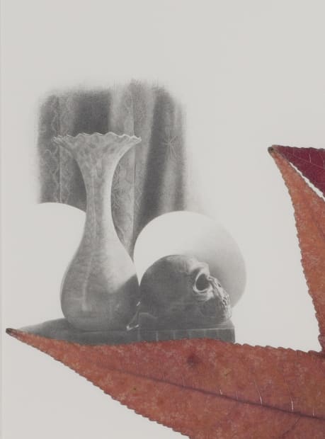 Memento Mori [detail], 2014