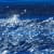 Image of Cinto's Open Sea detail image.